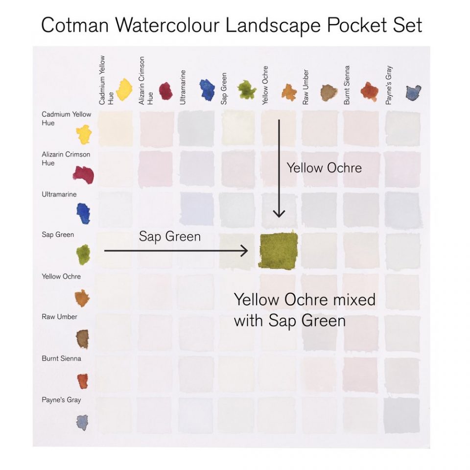 Winsor Newton COTMAN WC Pocket Set 8 Half Pans - Landscape