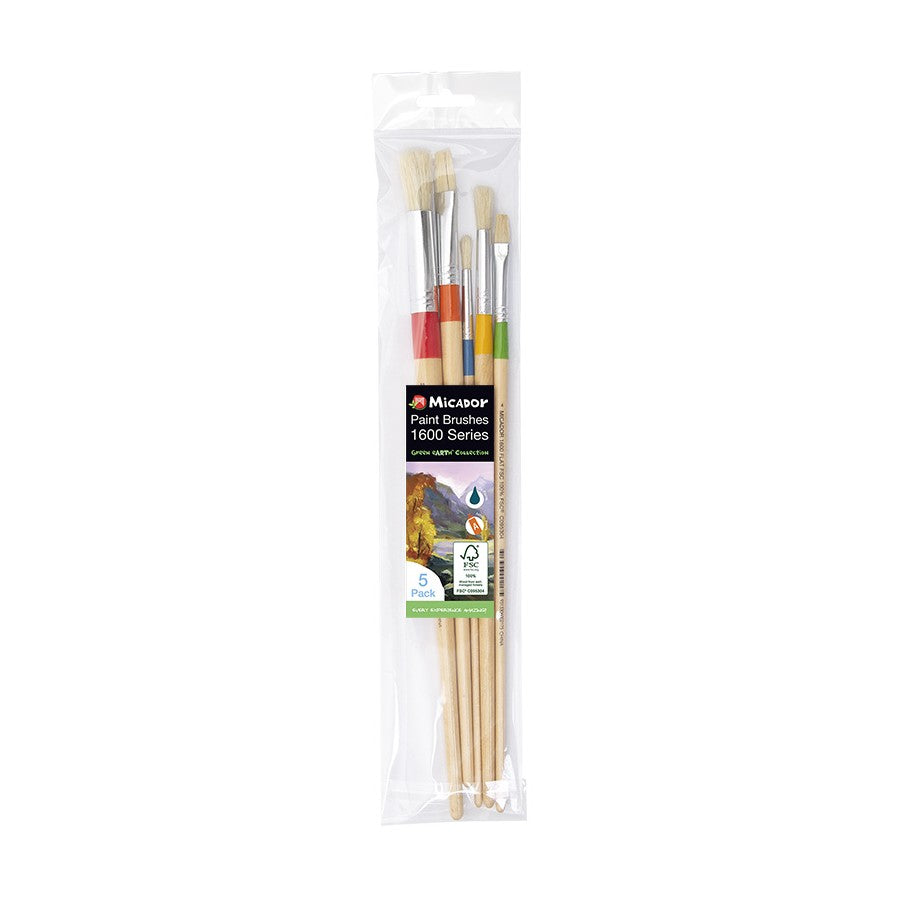 1600 Series Micador Brush Set Pack of 5