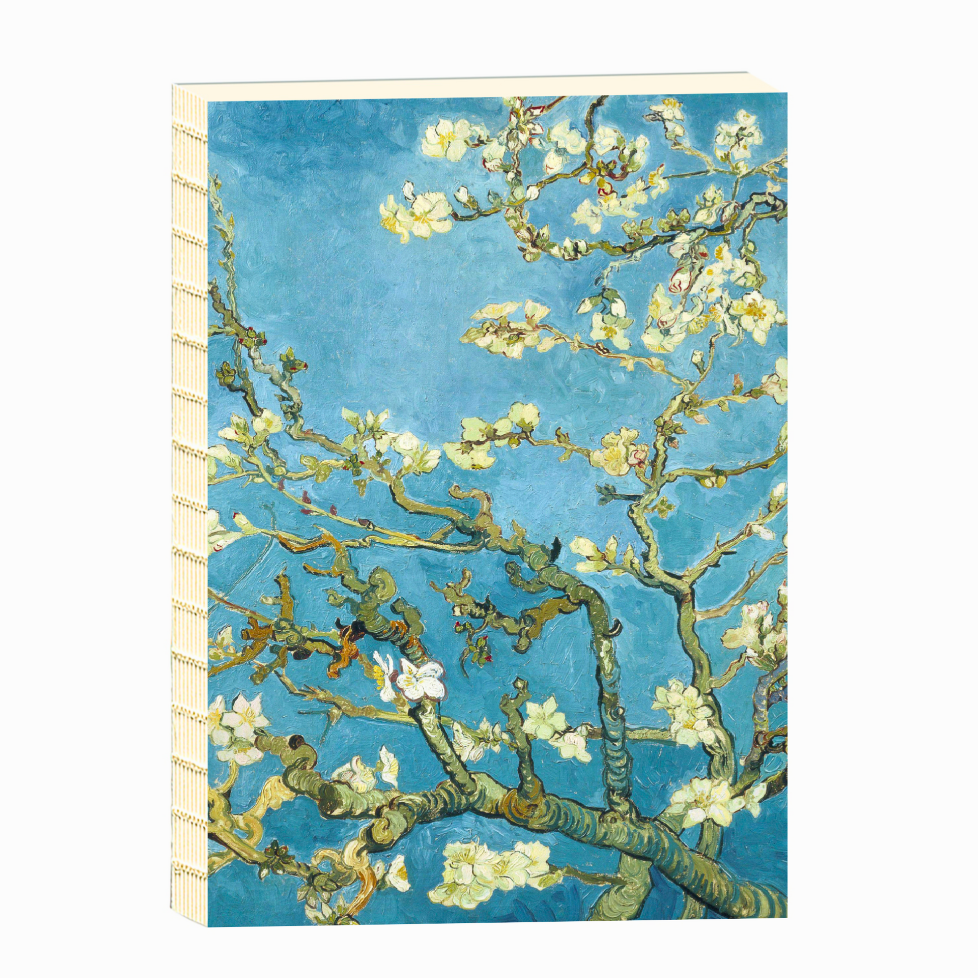 Open Back A5 Sketchbook - Almond Blossom