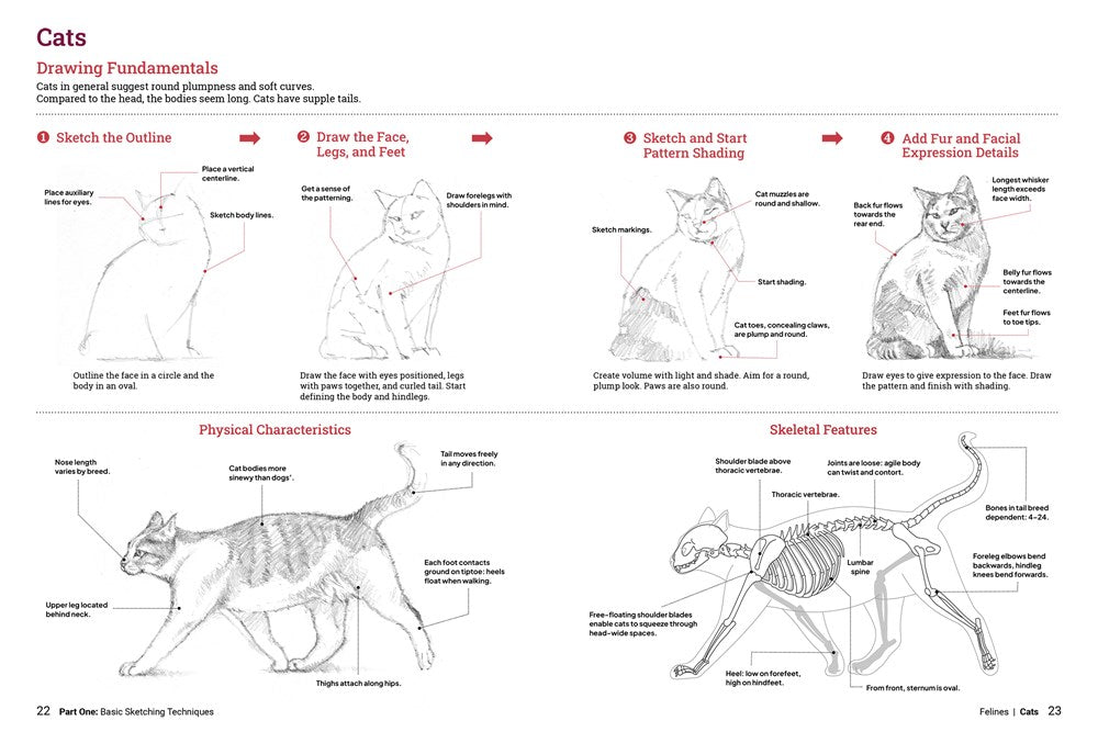 Book - How to Draw Animals