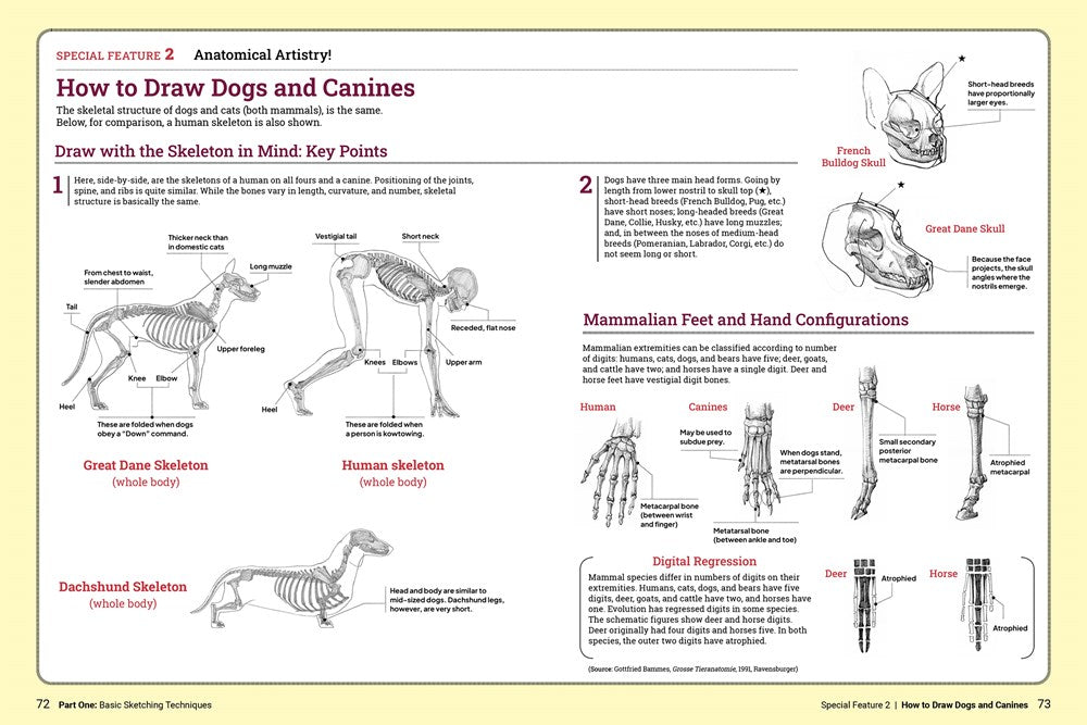 Book - How to Draw Animals