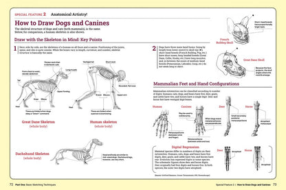 Book - How to Draw Animals