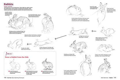 Book - How to Draw Animals