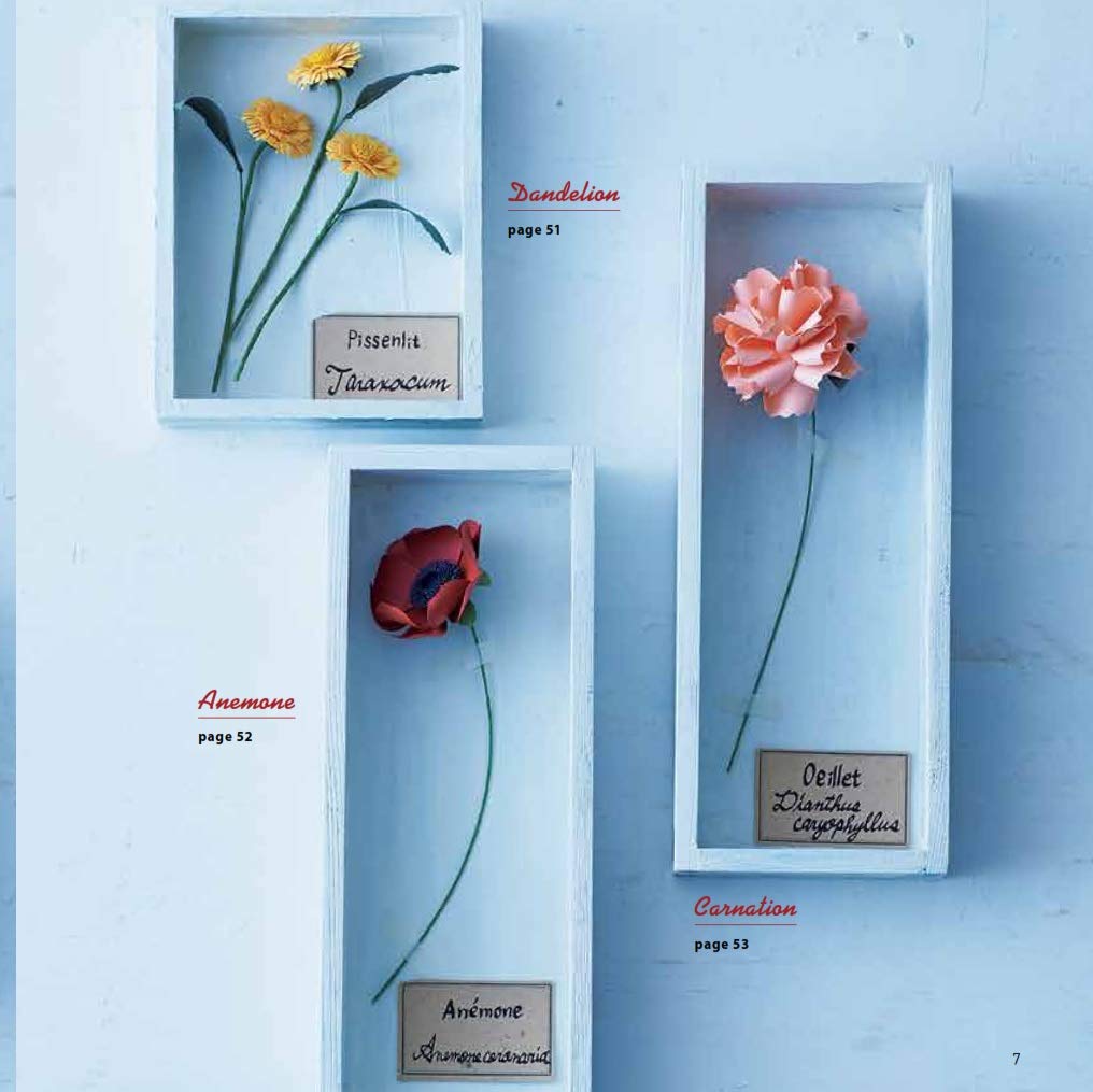 Book - Japanese Paper Flowers