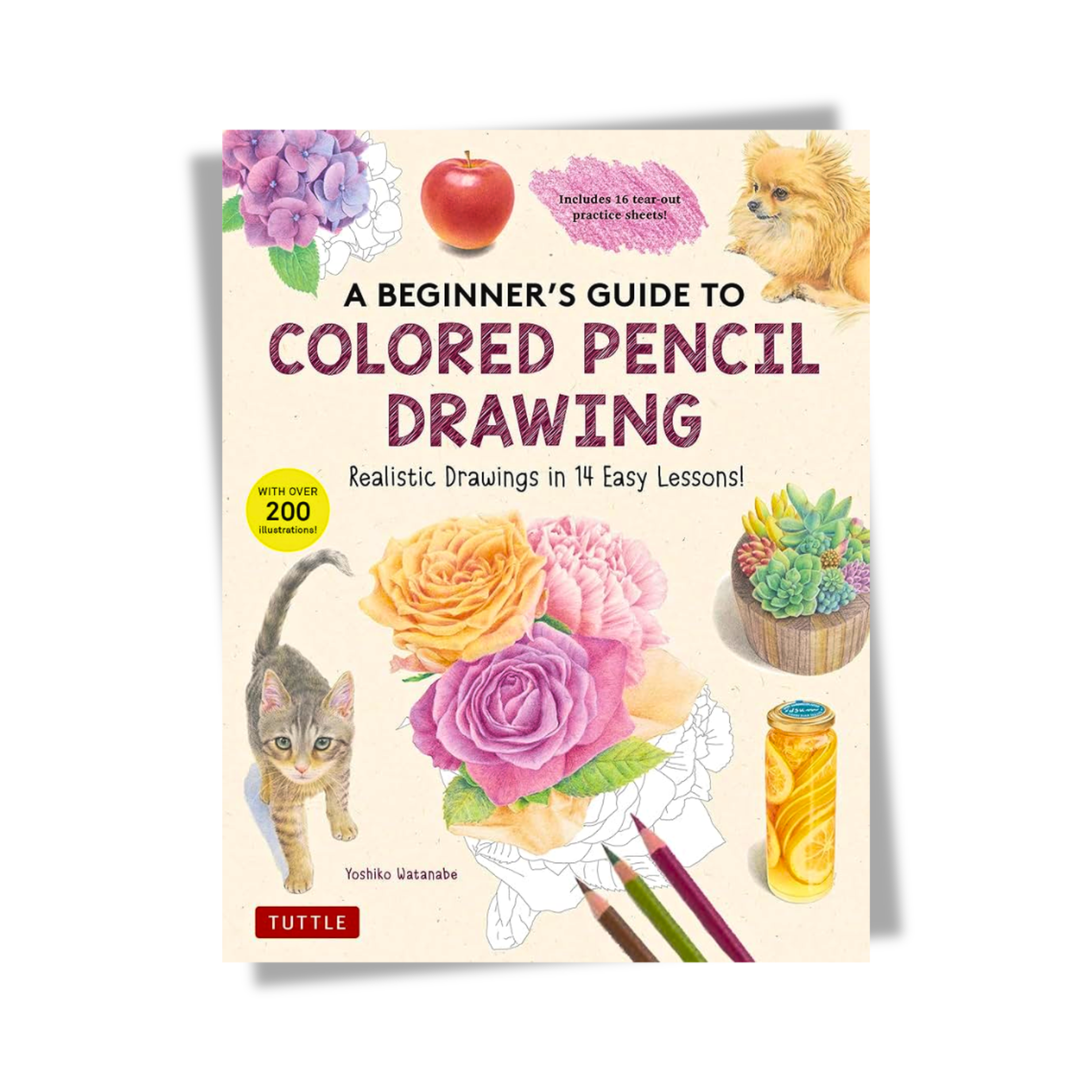 Book - Beginners Guide to Coloured Pencil