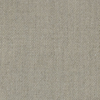 Caravaggio 509 Clear Primed Linen 210cm 420gsm