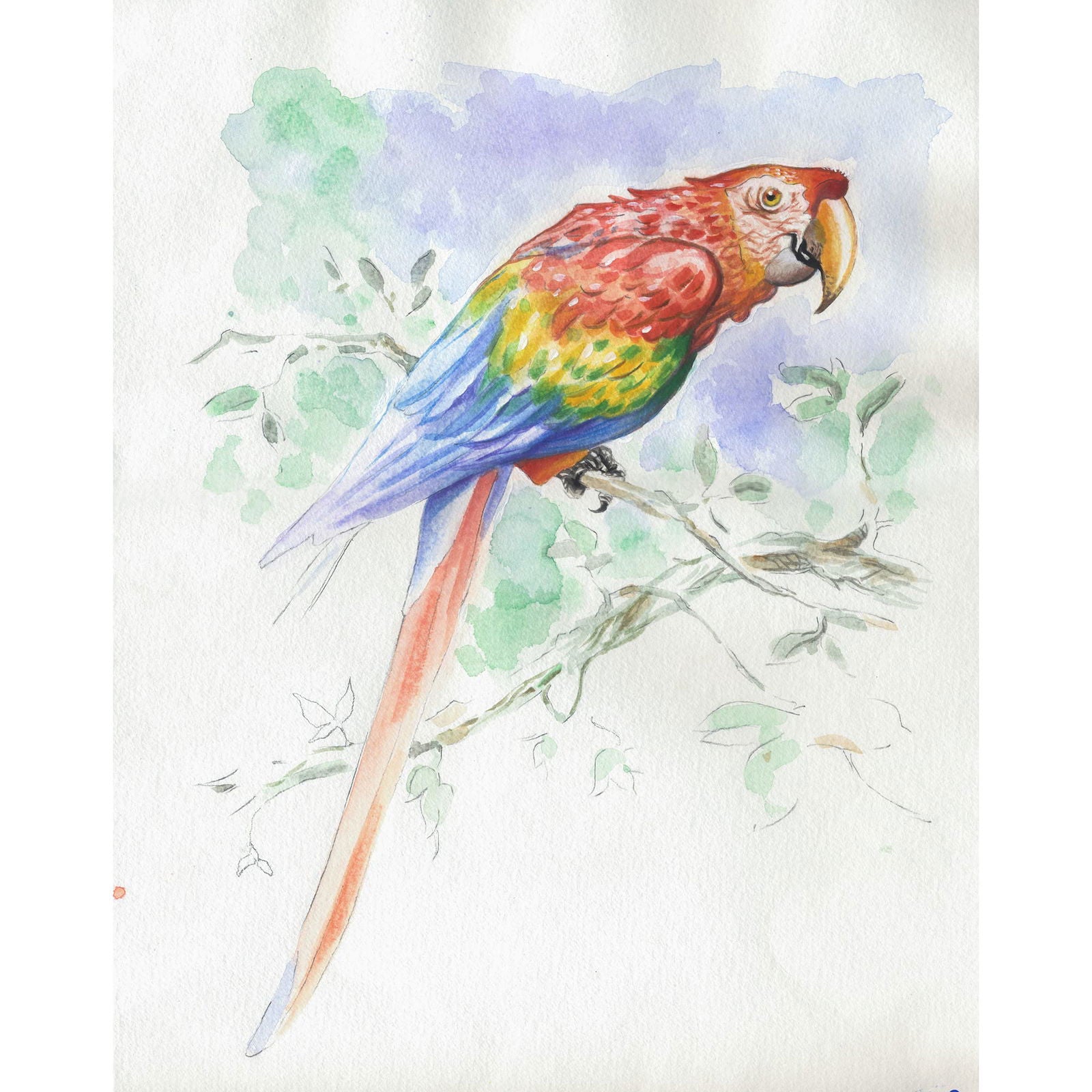 Clairefontaine Watercolour Learning Pad 30x40cm Animals - Clairefontaine