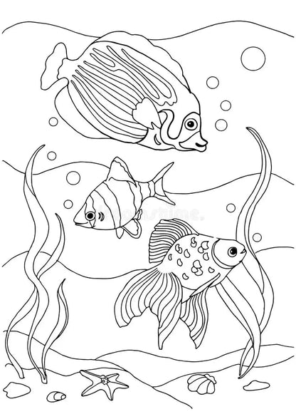 Educational Colours COLOURING BOOK Sealife