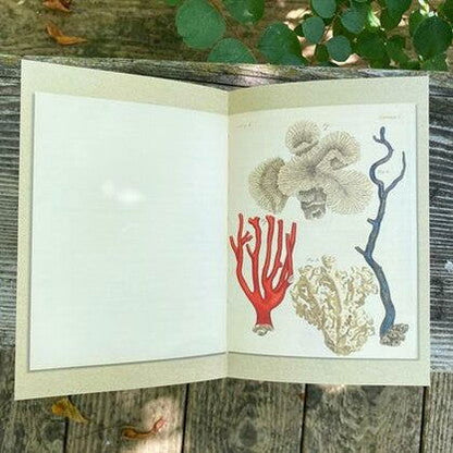 Illustrated Journal - At the Sea