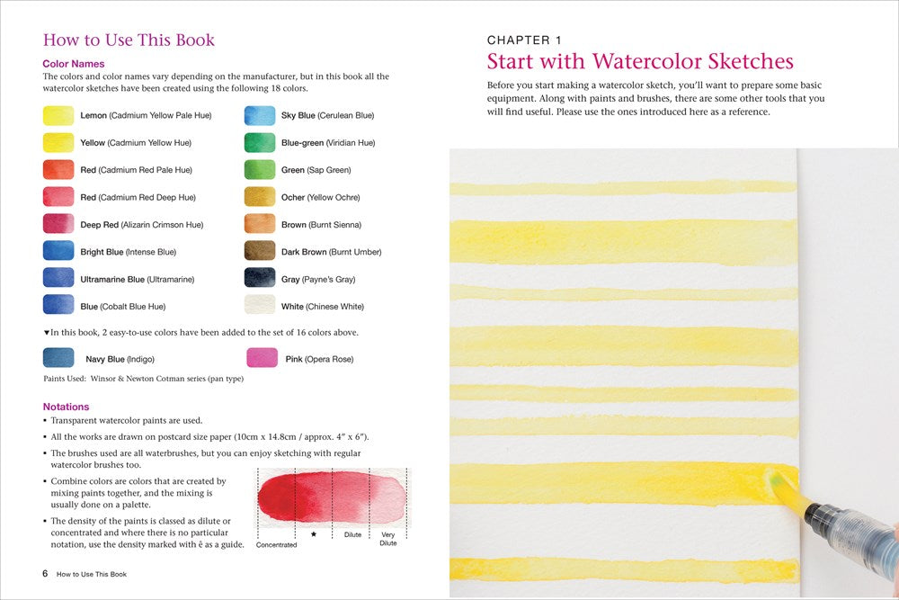 Book - Beginners Guide to Watercolour Painting