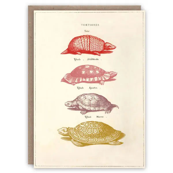 Pattern Book Gift Card - Tortoises