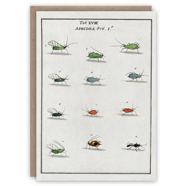 Pattern Book Gift Card - Aphids