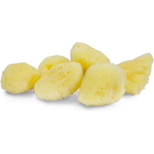 Ocean Sea Sponge Silk 2-2.5 inch