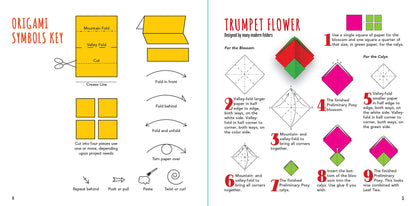 Origami Flowers Kit