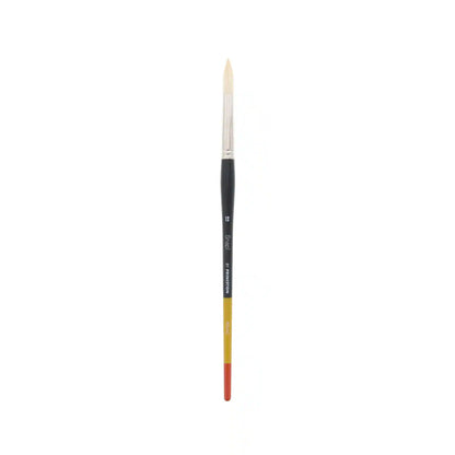 SNAP Brush 9700 Long Handle Bristle Round