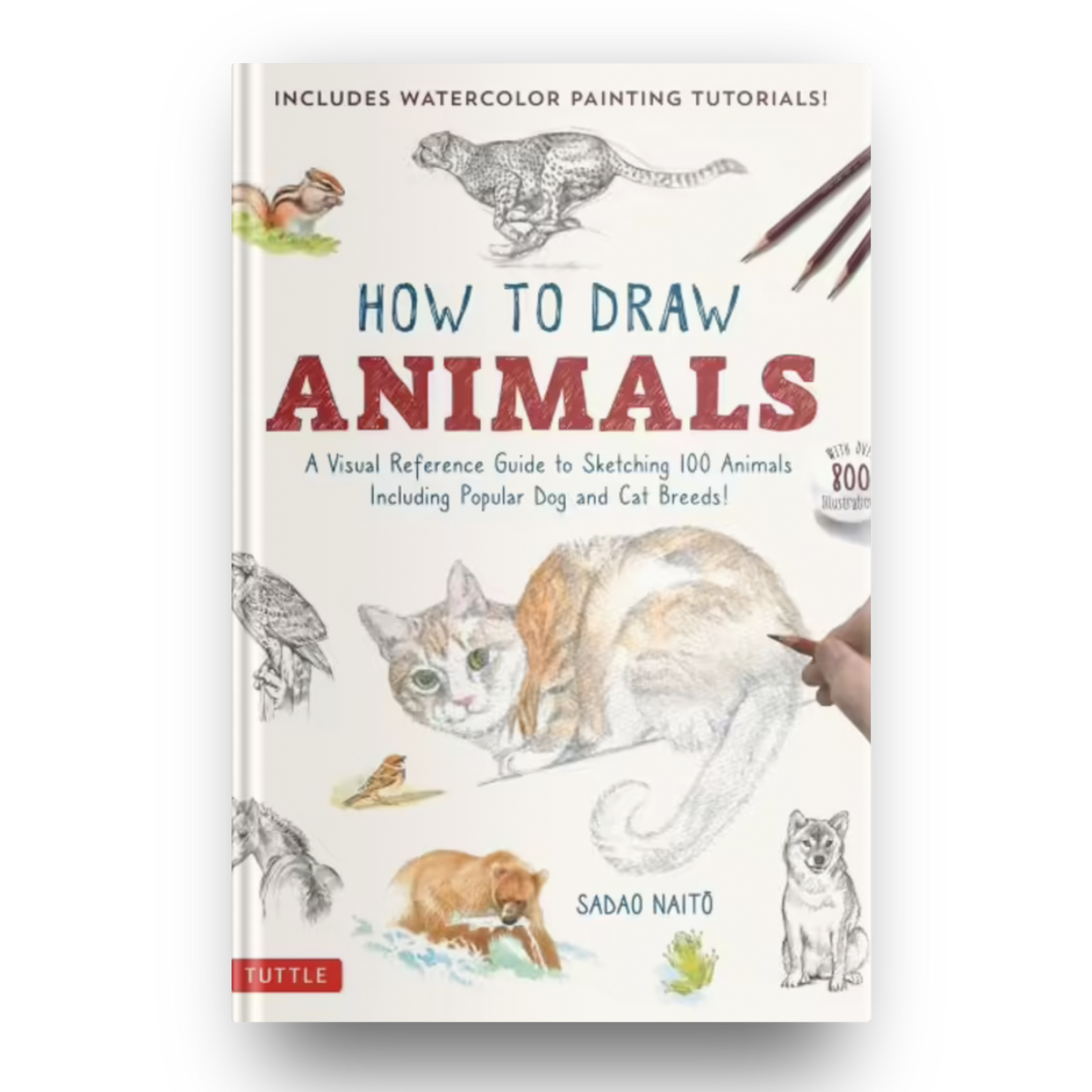 Book - How to Draw Animals