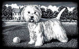 Reeves Mini Scraperfoil - Silver Westie