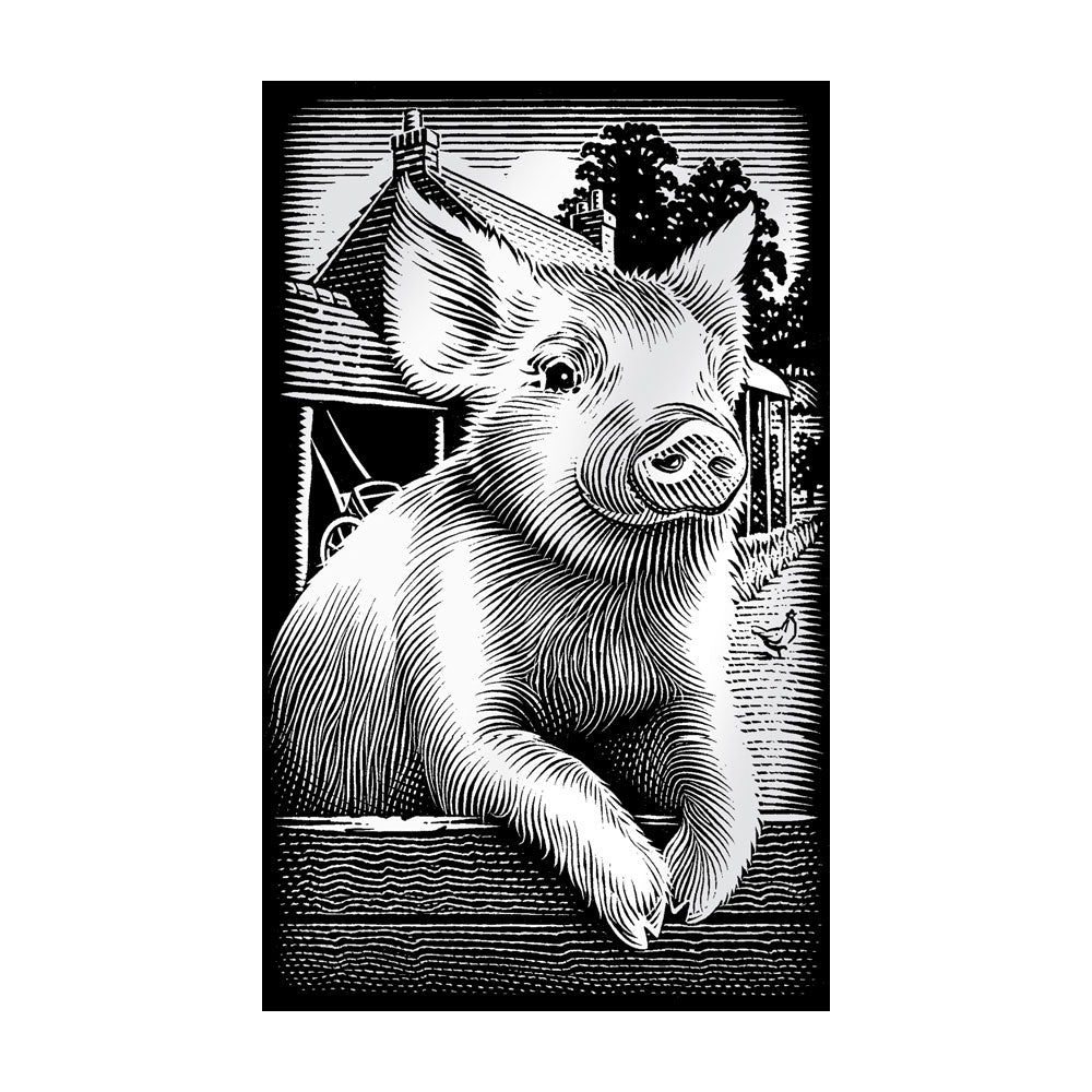 Reeves Mini Scraperfoil - Silver Piglet