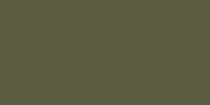 Faber-Castell Pitt Pastel Pencil 173 Olive Green Yellowish