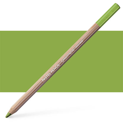 Caran DAche Pastel Pencil LIGHT OLIVE 40