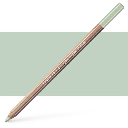 Caran DAche Pastel Pencil EARTH GREEN