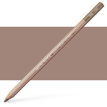 Caran DAche Pastel Pencil WARM EARTH 50