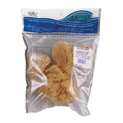 Ocean Sea Sponge Combination R2093