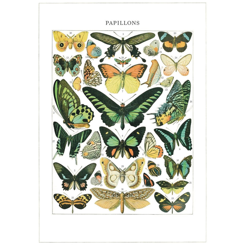 Pattern Book Gift Card - Papillons